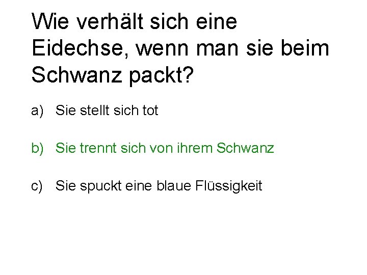 Wie verhält sich eine Eidechse, wenn man sie beim Schwanz packt? a) Sie stellt