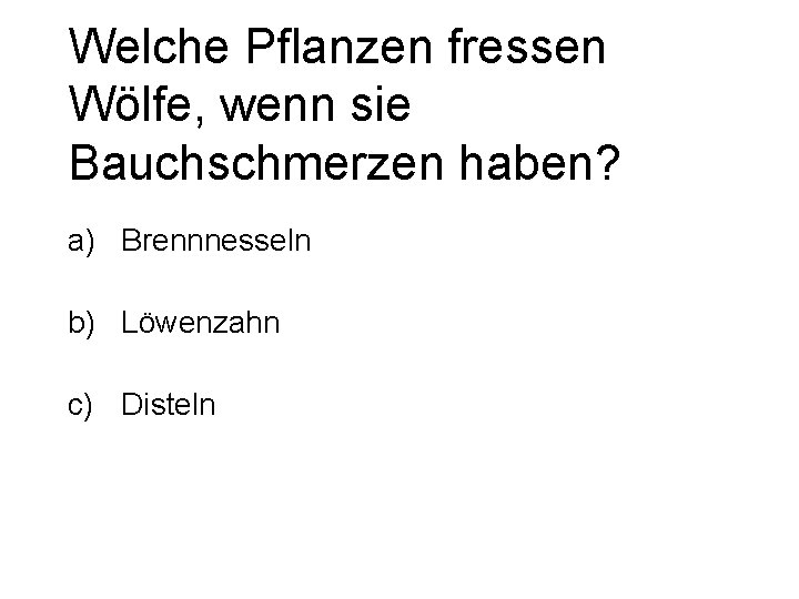 Welche Pflanzen fressen Wölfe, wenn sie Bauchschmerzen haben? a) Brennnesseln b) Löwenzahn c) Disteln