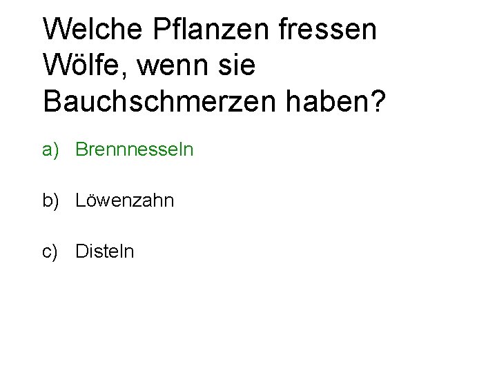 Welche Pflanzen fressen Wölfe, wenn sie Bauchschmerzen haben? a) Brennnesseln b) Löwenzahn c) Disteln