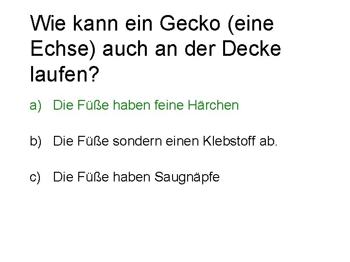 Wie kann ein Gecko (eine Echse) auch an der Decke laufen? a) Die Füße