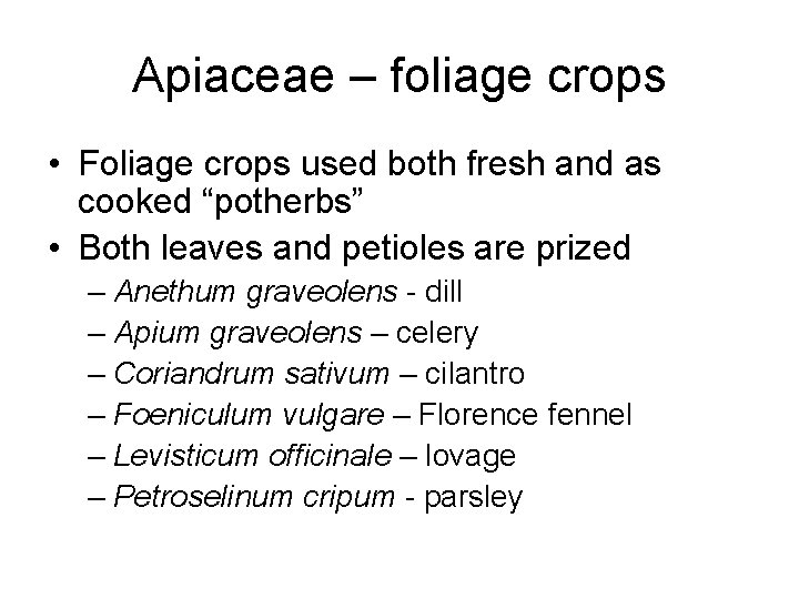 Apiaceae – foliage crops • Foliage crops used both fresh and as cooked “potherbs”