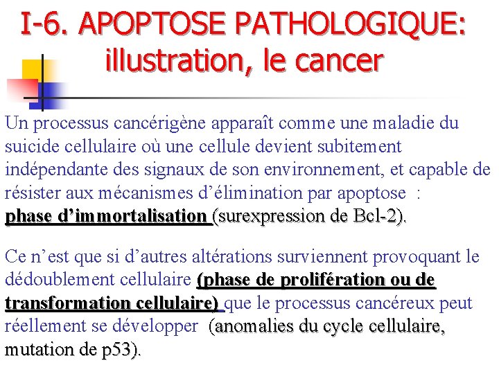 I-6. APOPTOSE PATHOLOGIQUE: illustration, le cancer Un processus cancérigène apparaît comme une maladie du