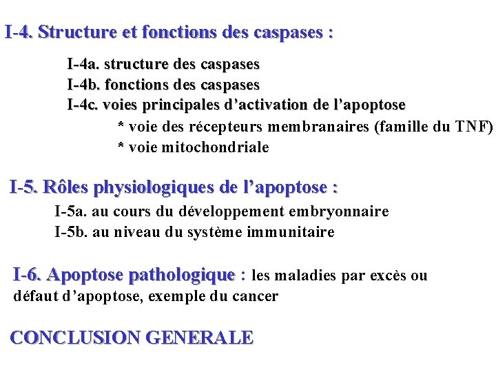 I-4. Structure et fonctions des caspases : I-4 a. structure des caspases I-4 b.