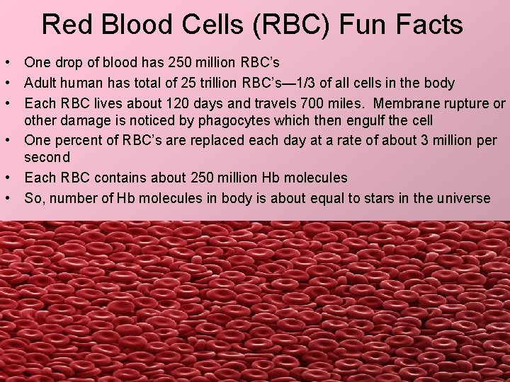 Red Blood Cells (RBC) Fun Facts • One drop of blood has 250 million Red Blood Cells (RBC) Fun Facts • One drop of blood has 250 million