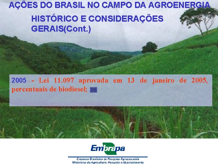 AÇÕES DO BRASIL NO CAMPO DA AGROENERGIA HISTÓRICO E CONSIDERAÇÕES GERAIS(Cont. ) 2005 -
