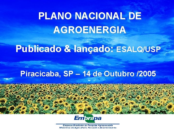 PLANO NACIONAL DE AGROENERGIA Publicado & lançado: ESALQ/USP Piracicaba, SP – 14 de Outubro