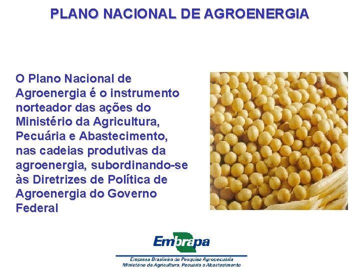 PLANO NACIONAL DE AGROENERGIA O Plano Nacional de Agroenergia é o instrumento norteador das