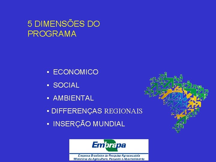 5 DIMENSÕES DO PROGRAMA • ECONOMICO • SOCIAL • AMBIENTAL • DIFFERENÇAS REGIONAIS •