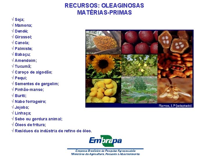 RECURSOS: OLEAGINOSAS MATÉRIAS-PRIMAS √ Soja; √ Mamona; √ Dendê; √ Girassol; √ Canola; √