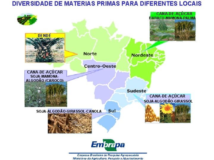 DIVERSIDADE DE MATERIAS PRIMAS PARA DIFERENTES LOCAIS CANA-DE-AÇÚCAR BABAÇU-MAMONA-PALMA DENDÊ CANA-DE-AÇÚCAR SOJA-MAMONAALGODÃO (CAROÇO) CANA-DE-AÇÚCAR