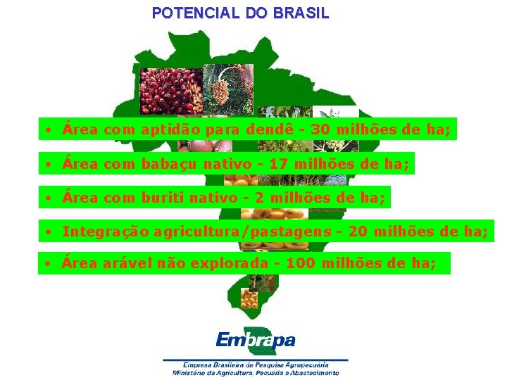 POTENCIAL DO BRASIL • Área com aptidão para dendê - 30 milhões de ha;