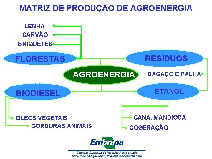 MATRIZ DE PRODUÇÃO DE AGROENERGIA LENHA CARVÃO BRIQUETES RESÍDUOS FLORESTAS AGROENERGIA BIODIESEL ÓLEOS VEGETAIS
