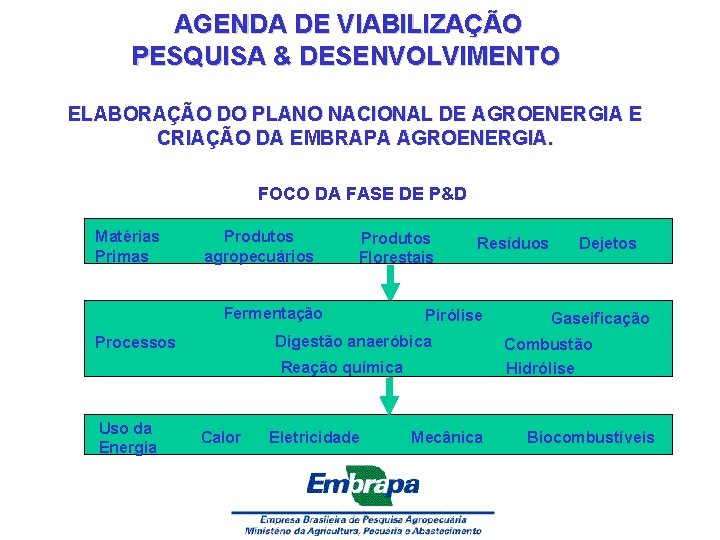 AGENDA DE VIABILIZAÇÃO PESQUISA & DESENVOLVIMENTO ELABORAÇÃO DO PLANO NACIONAL DE AGROENERGIA E CRIAÇÃO