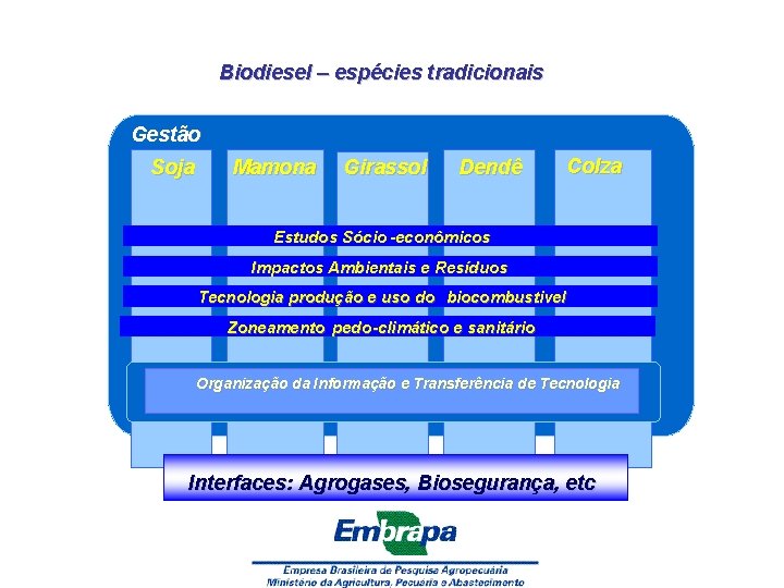 Biodiesel – espécies tradicionais Gestão Soja Mamona Girassol Dendê Colza Estudos Sócio -econômicos Impactos