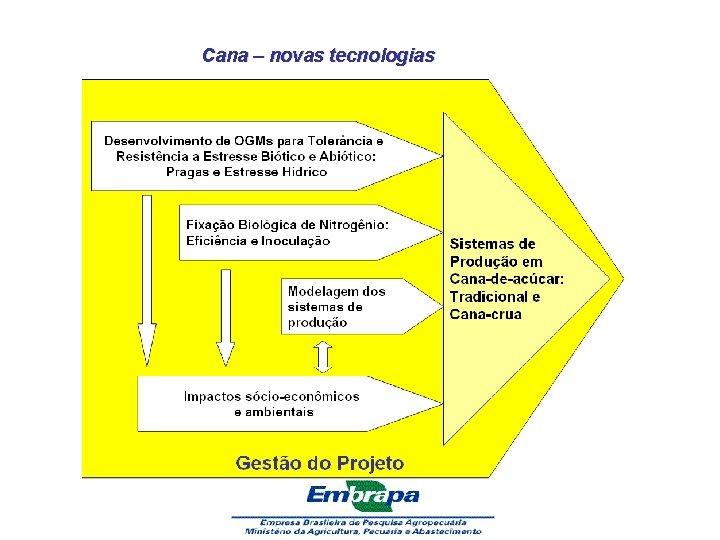 Cana – novas tecnologias 