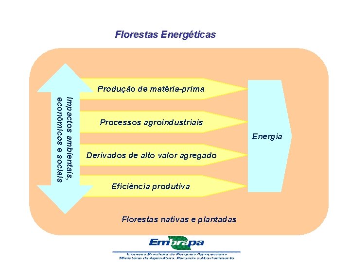 Florestas Energéticas Produção de matéria-prima Impactos ambientais, econômicos e sociais Processos agroindustriais Energia Derivados