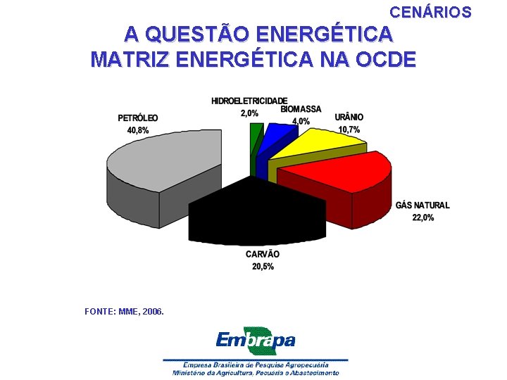CENÁRIOS A QUESTÃO ENERGÉTICA MATRIZ ENERGÉTICA NA OCDE FONTE: MME, 2006. 