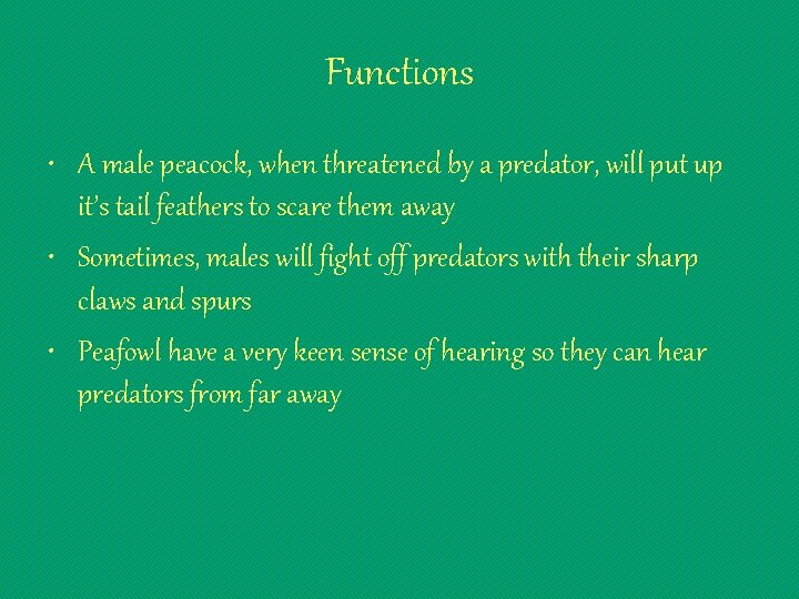 Functions • A male peacock, when threatened by a predator, will put up it’s