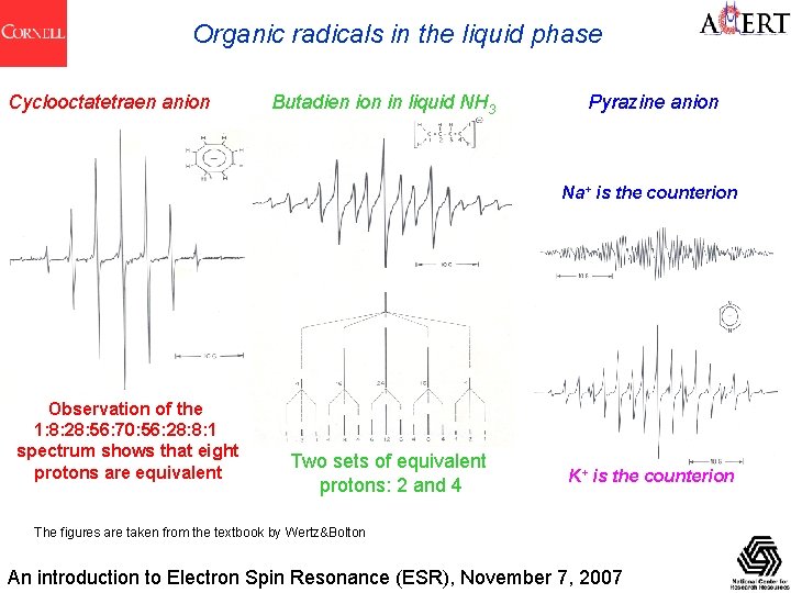 Organic radicals in the liquid phase Cyclooctatetraen anion Butadien ion in liquid NH 3
