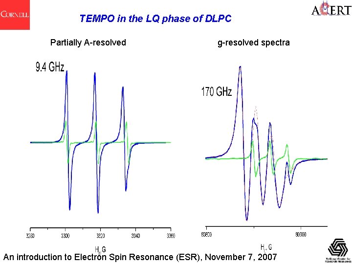 TEMPO in the LQ phase of DLPC Partially A-resolved g-resolved spectra An introduction to
