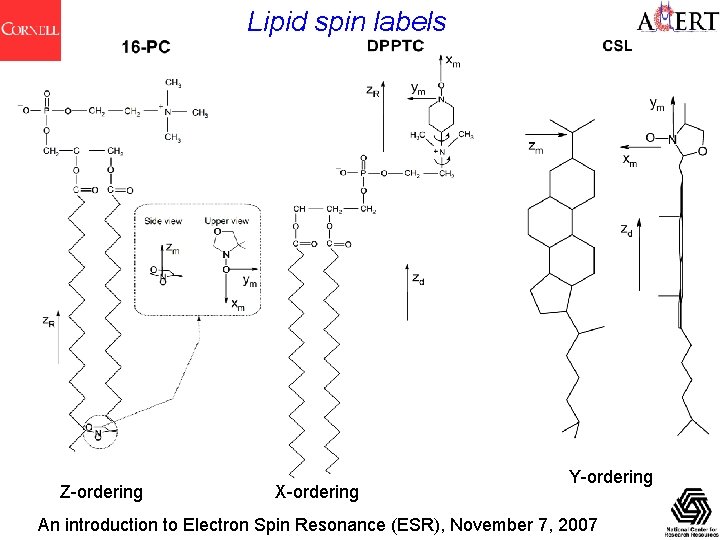 Lipid spin labels Z-ordering X-ordering Y-ordering An introduction to Electron Spin Resonance (ESR), November