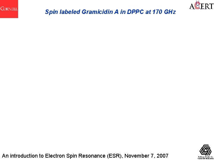 Spin labeled Gramicidin A in DPPC at 170 GHz An introduction to Electron Spin