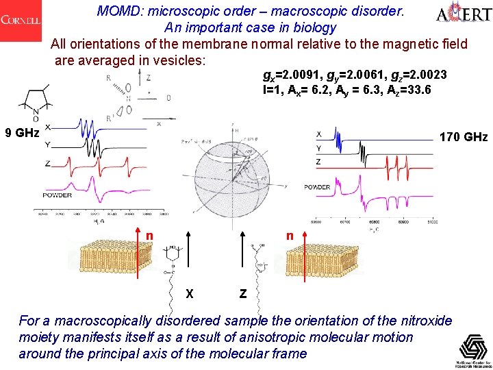 MOMD: microscopic order – macroscopic disorder. An important case in biology All orientations of
