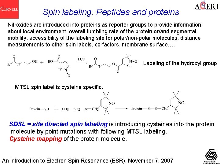 Spin labeling. Peptides and proteins Nitroxides are introduced into proteins as reporter groups to