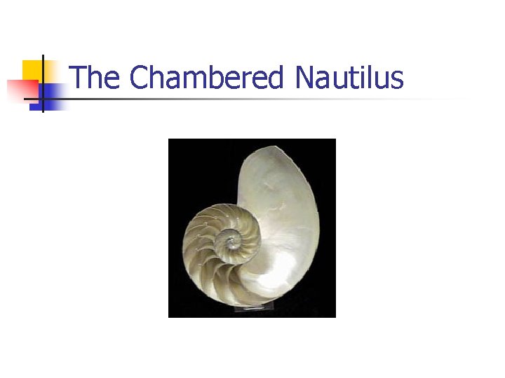 The Chambered Nautilus 