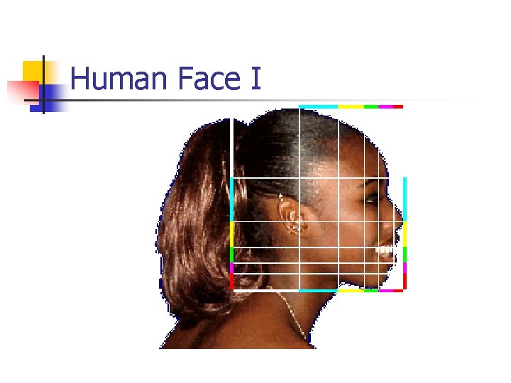 Human Face I 