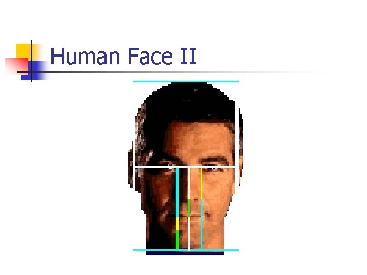 Human Face II 