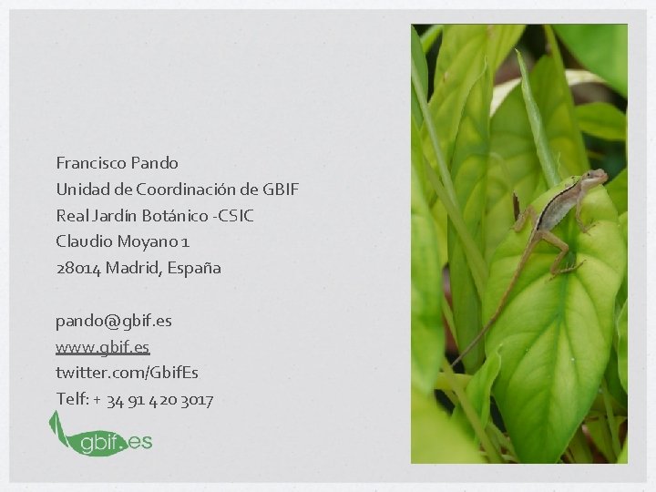 Francisco Pando Unidad de Coordinación de GBIF Real Jardín Botánico -CSIC Claudio Moyano 1