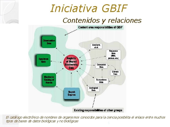 Iniciativa GBIF Contenidos y relaciones El catálogo electrónico de nombres de organismos conocidos para
