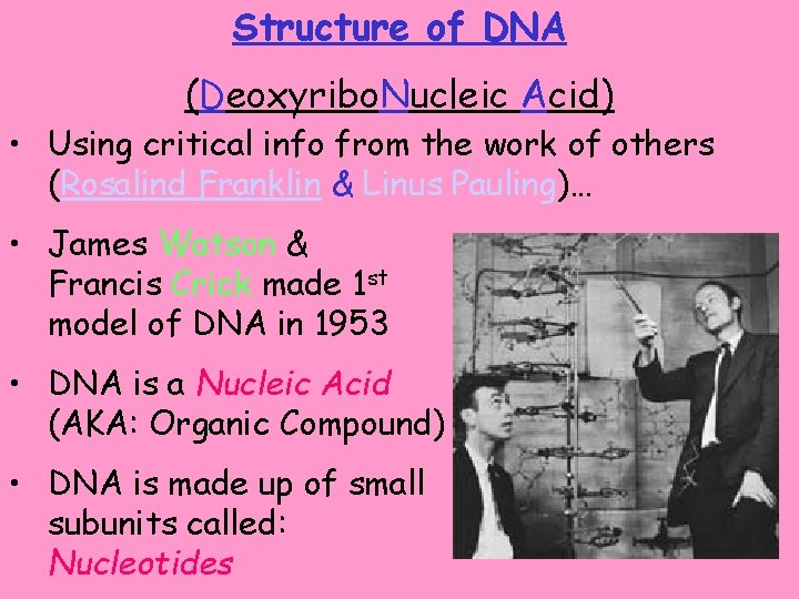 Structure of DNA (Deoxyribo. Nucleic Acid) • Using critical info from the work of