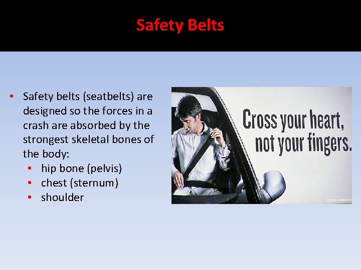 Safety Belts • Safety belts (seatbelts) are designed so the forces in a crash