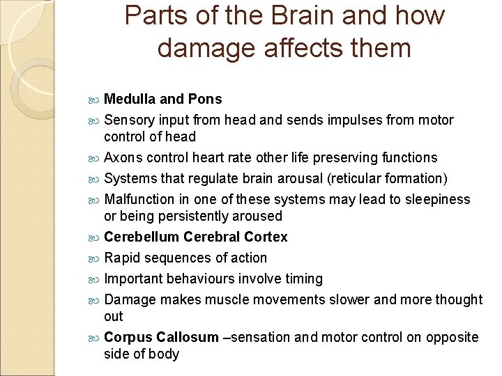 Parts of the Brain and how damage affects them Medulla and Pons Sensory input