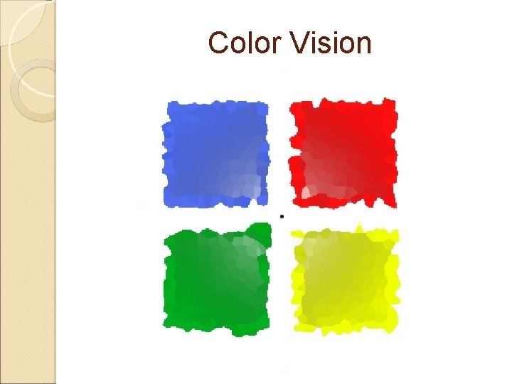 Color Vision 