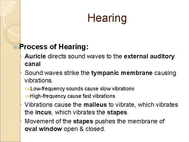 Hearing Process of Hearing: ◦ Auricle directs sound waves to the external auditory canal