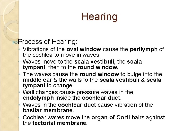 Hearing Process of Hearing: ◦ Vibrations of the oval window cause the perilymph of