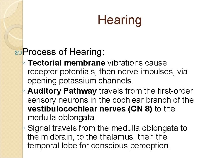 Hearing Process of Hearing: ◦ Tectorial membrane vibrations cause receptor potentials, then nerve impulses,