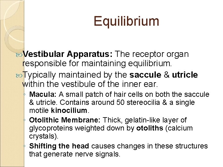 Equilibrium Vestibular Apparatus: The receptor organ responsible for maintaining equilibrium. Typically maintained by the