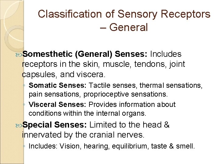 Classification of Sensory Receptors – General Somesthetic (General) Senses: Includes receptors in the skin,