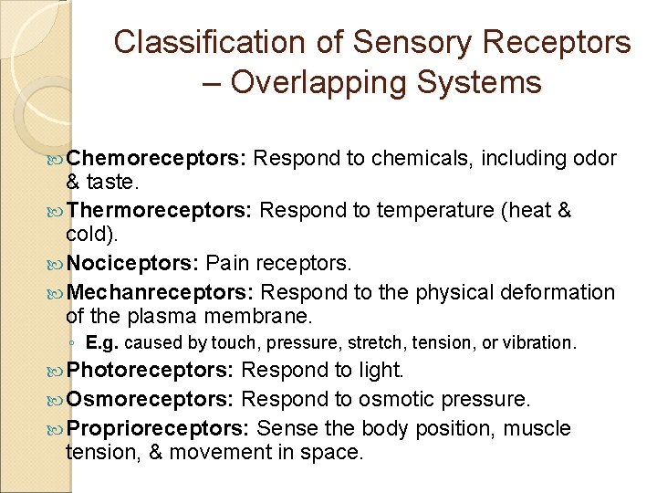 Classification of Sensory Receptors – Overlapping Systems Chemoreceptors: Respond to chemicals, including odor &