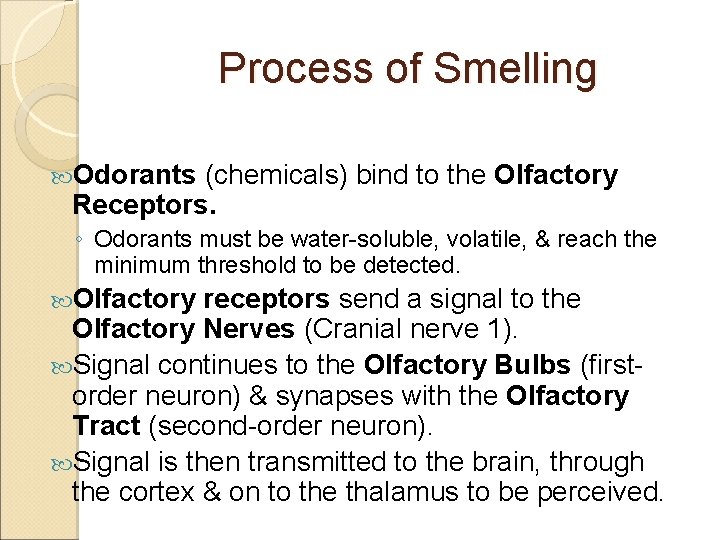 Process of Smelling Odorants (chemicals) bind to the Olfactory Receptors. ◦ Odorants must be