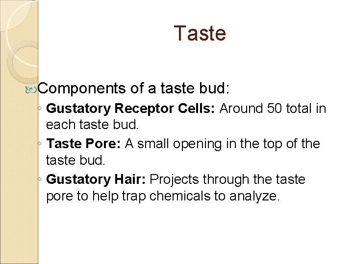Taste Components of a taste bud: ◦ Gustatory Receptor Cells: Around 50 total in