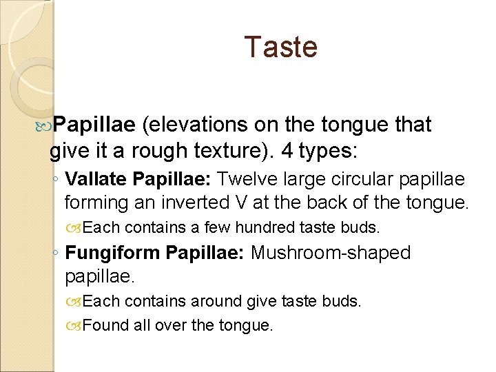 Taste Papillae (elevations on the tongue that give it a rough texture). 4 types: