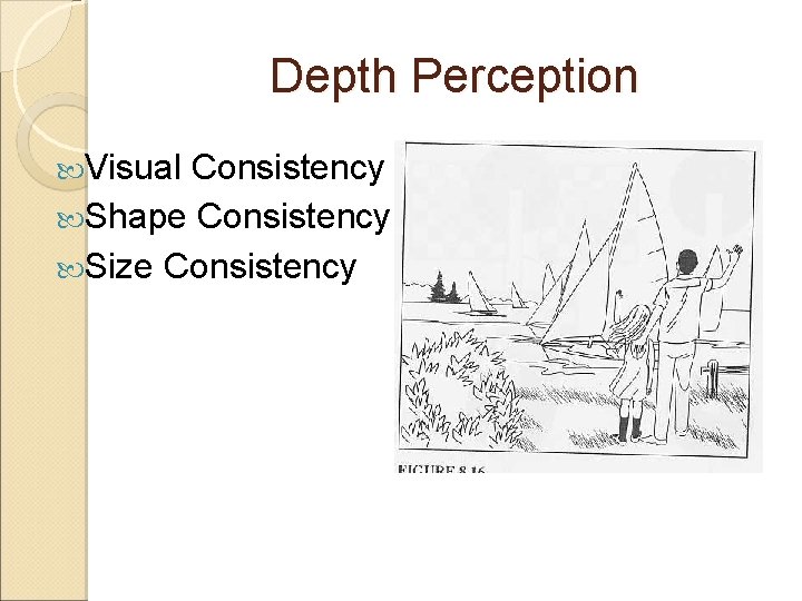Depth Perception Visual Consistency Shape Consistency Size Consistency 