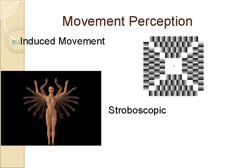 Movement Perception Induced Movement Stroboscopic 