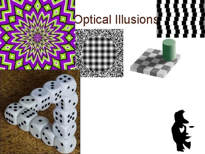Optical Illusions 