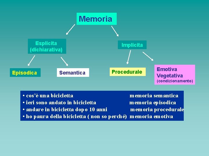 Memoria Esplicita (dichiarativa) Episodica Semantica Implicita Procedurale Emotiva Vegetativa (condizionamento) • cos’è una bicicletta